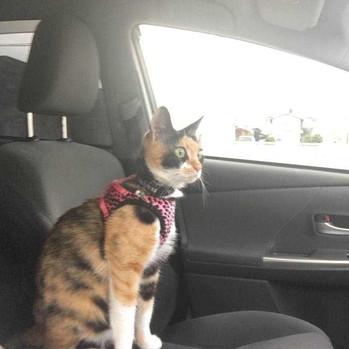 456bf8d4 dc24 422a a0ee 6092999d887d