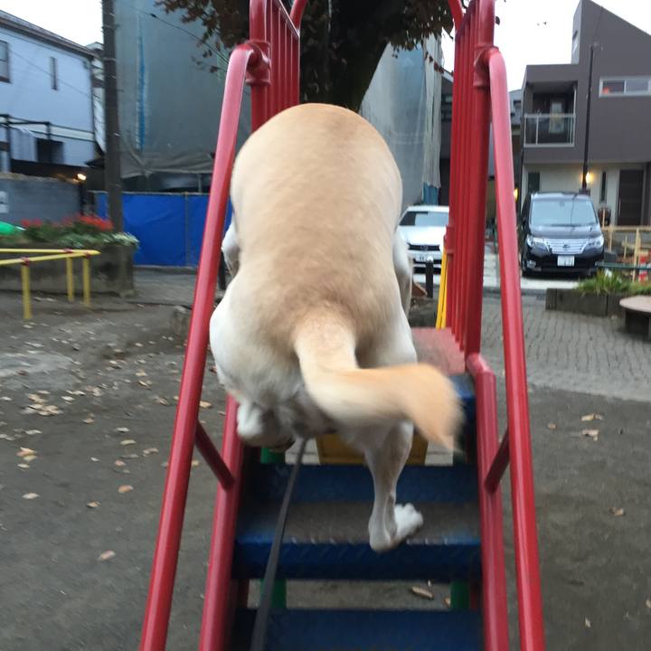 456cd55b 9fd2 4ed3 bac4 b70d4f91b033