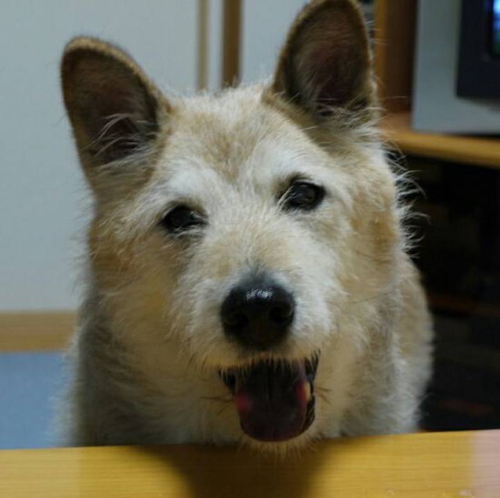 456cda63 764c 4327 8f9c bec21994b1c5