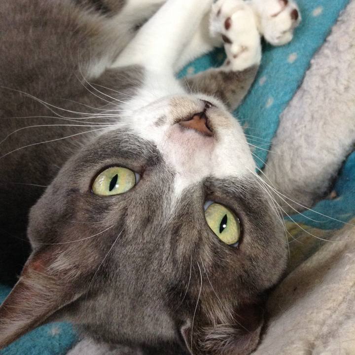 456d2270 d641 4ed8 bc67 8933c6e89bb1