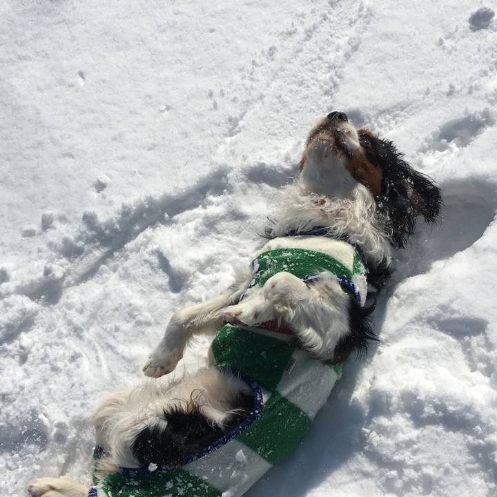 456d4691 0fd6 4fc5 bfc2 c84ac0467777