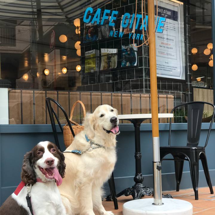 456d8d0d f4c7 47b0 8ef4 f53c89e98aa8