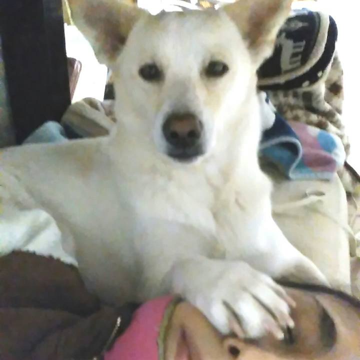 456daaa2 24b5 4953 add5 1ab08a55f25d