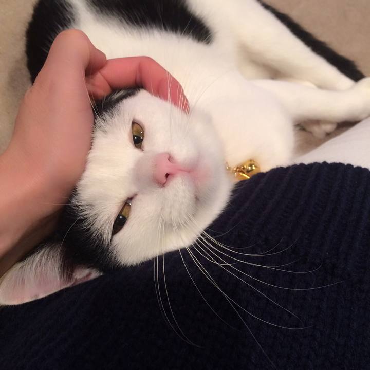 456e687f 3fa1 4989 9a09 ba90c93e69c5