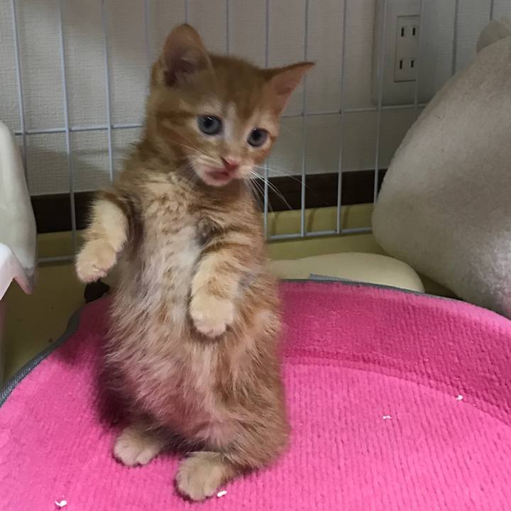 456e875e 3772 4a53 828d 58fdf2d931e9