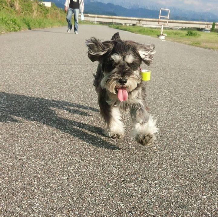 456ea48a 0584 4f0e be53 c083b56f348a