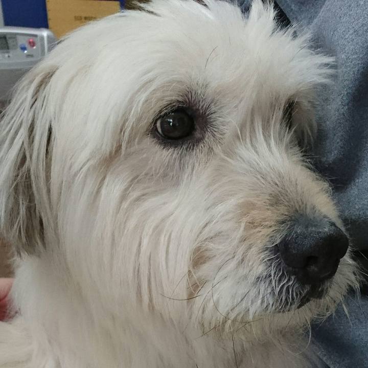 456f16b2 dcc0 43ca a81a e50200e57334