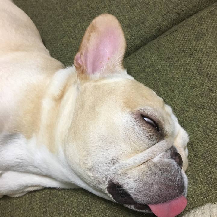 456f23c4 6a61 4589 a993 f9c491b0398e