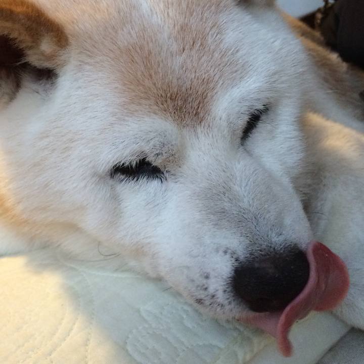 456f4ee5 8406 40ec bd98 ed8f174721b3