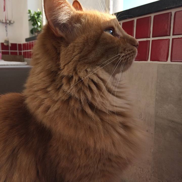 456fecb0 b2f7 4312 86dd 0f40ce4d3f2e