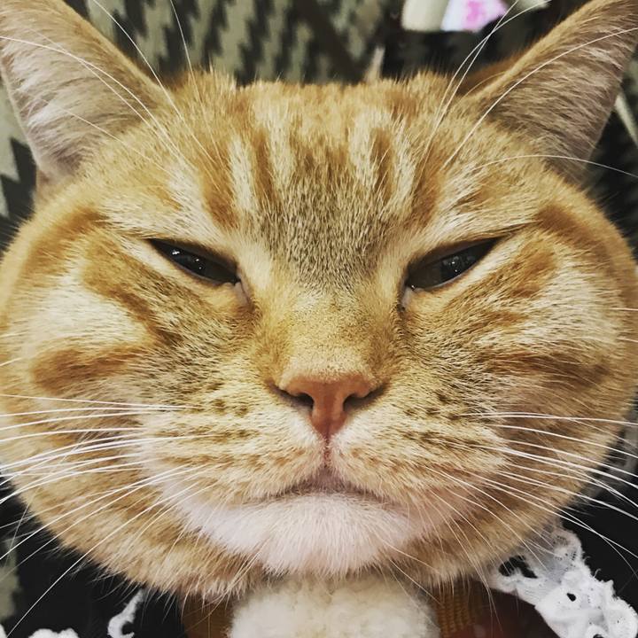 45714124 0694 474c bed2 56c6dc38b131