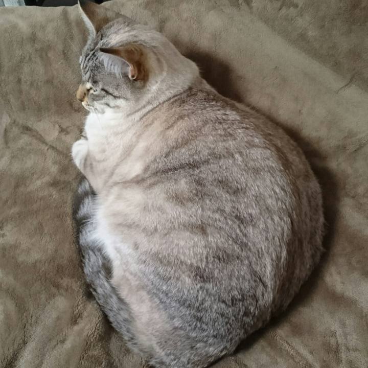 4571e9e7 daab 4c34 9d6e 6422032dae39