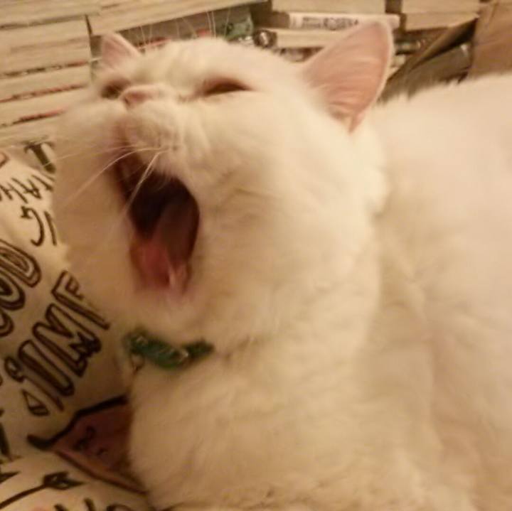 4571fe45 712c 46f6 85c9 82c30994ac0f