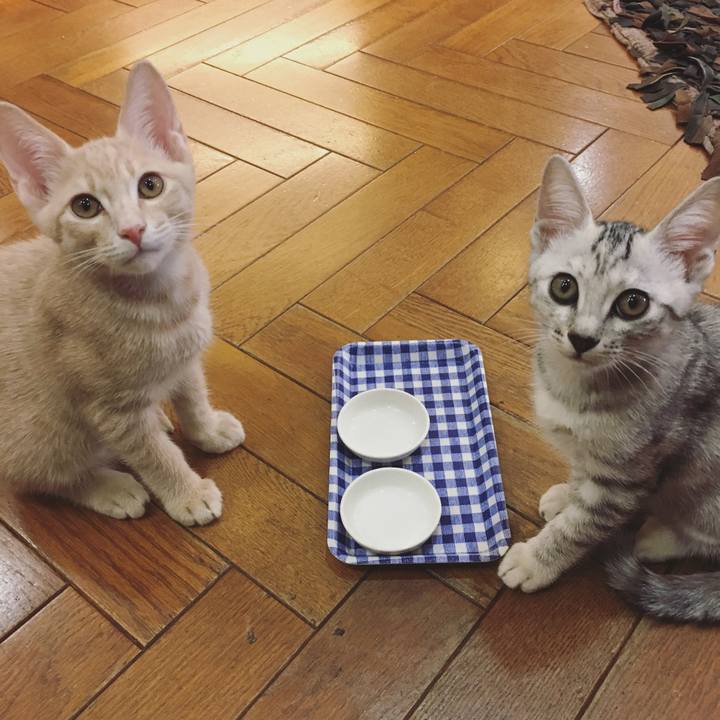 45721eeb 36be 47bc 8eaf 2348004b79fb