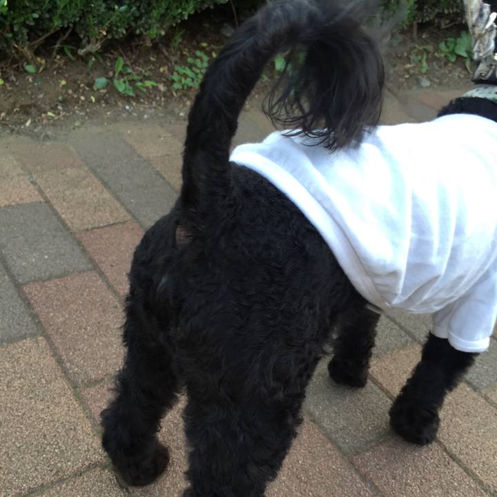 45722a20 ec05 43eb a333 844da6f89b33