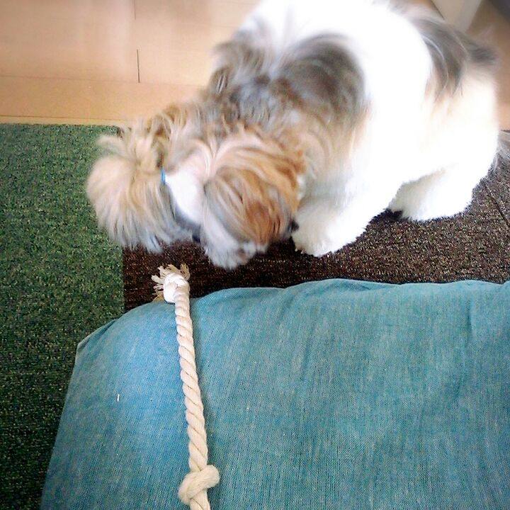 4572f8be fa45 4036 a94b 822ba12feeee