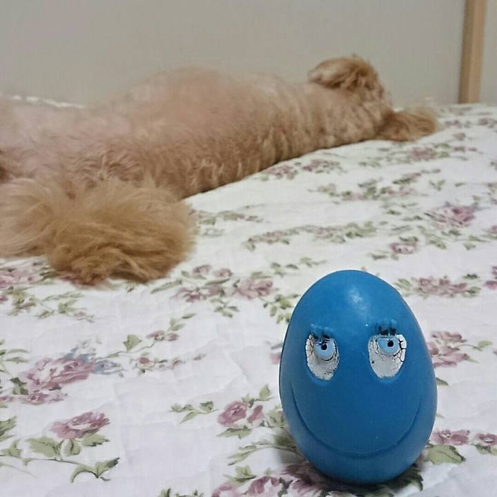 4573e251 1869 493d b8be 4347336091ef