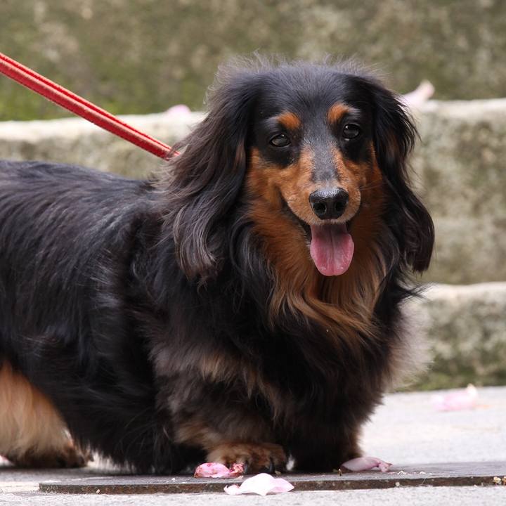 45740ba2 a7a3 4608 b13a 36d2d40fcff2