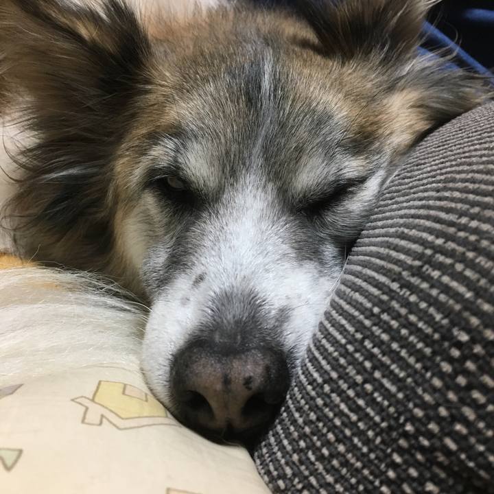 4574bccd 1272 4dd4 967b 4c56d8980796