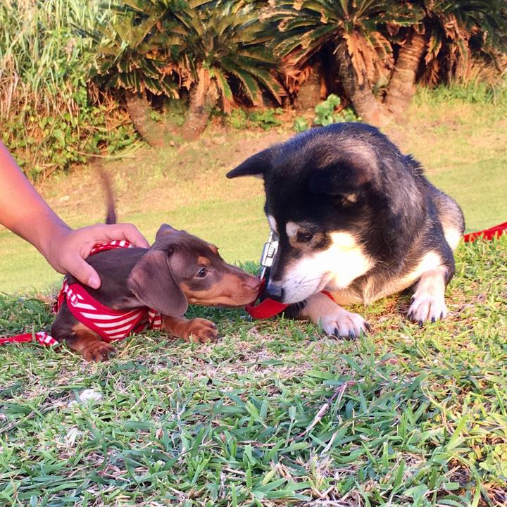 4575ae70 4fef 4ae9 a296 69a2e909cad3