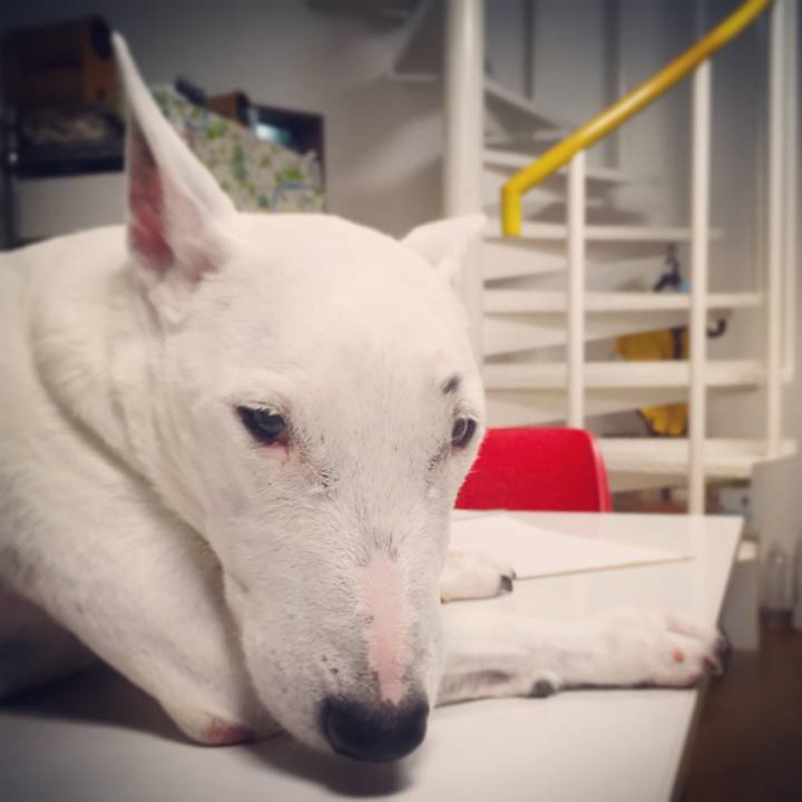 4575c194 f4f0 4f02 b794 5ddbdf21f257