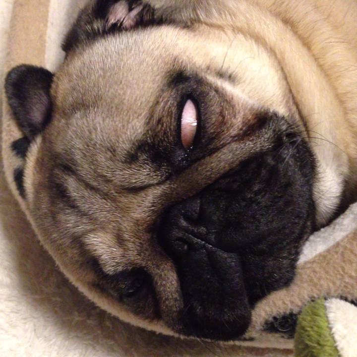 4575d6dc 2c64 493b bace a0f5c45e27b9