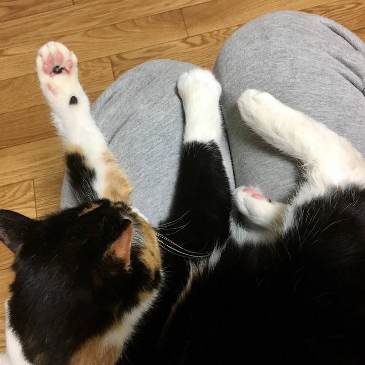 4575ed8a 0356 48cb 8fee 2f666c842cb9