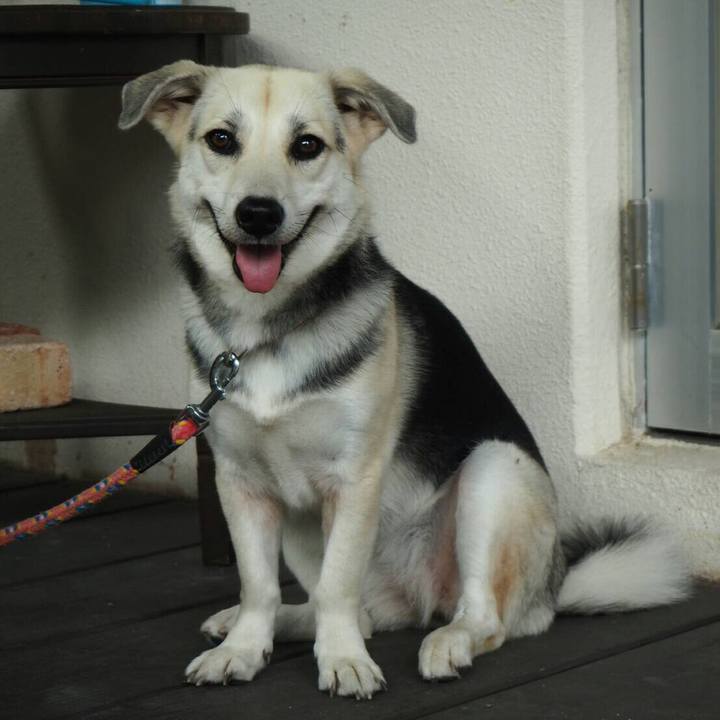 4575f794 ff60 40cd bc14 54598d795950