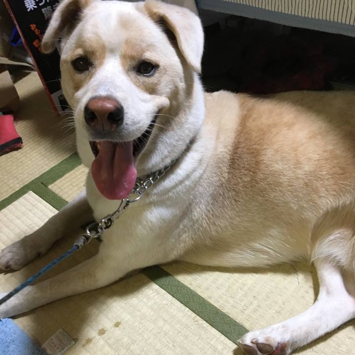 4575fb46 9661 4c5e 819c 3eaee3adca1c