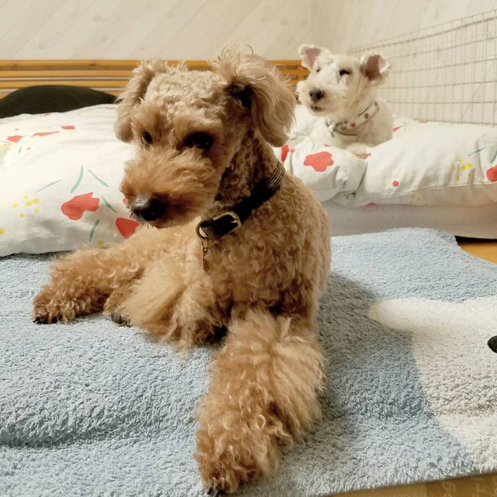 45765506 fdce 4d3e b5bf 323224098971