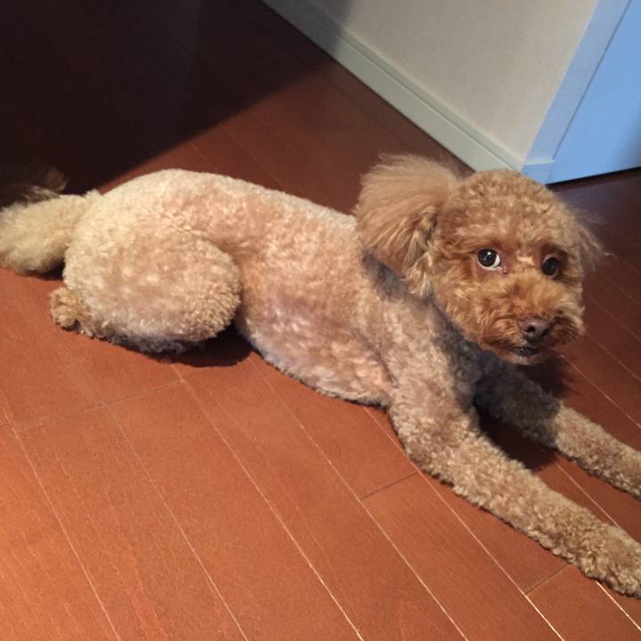 4576f540 3331 4e65 a0f7 dce826c0fb87