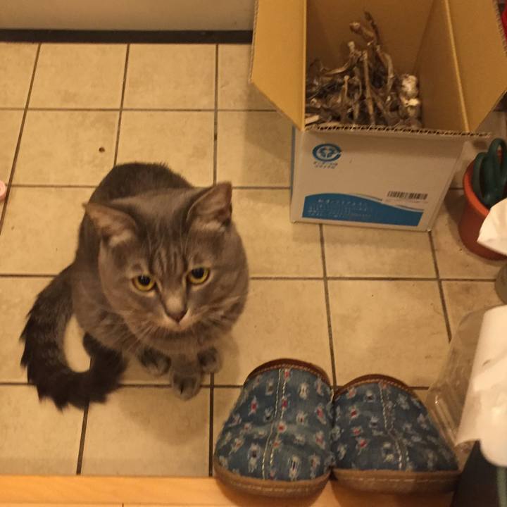 4577a88d bb8a 47fb 9ce8 6a8c0ac53908