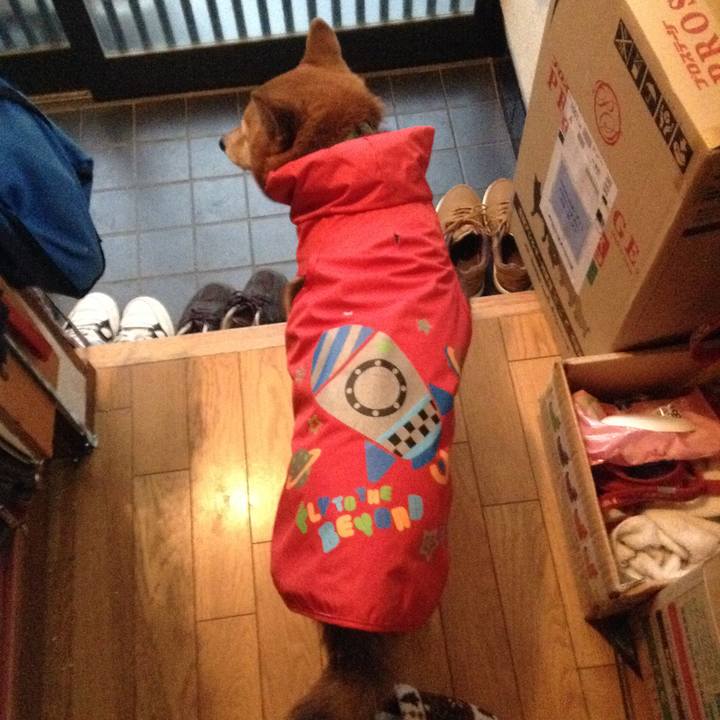 4577e19c 9e0c 4861 965d 26231e0c255d