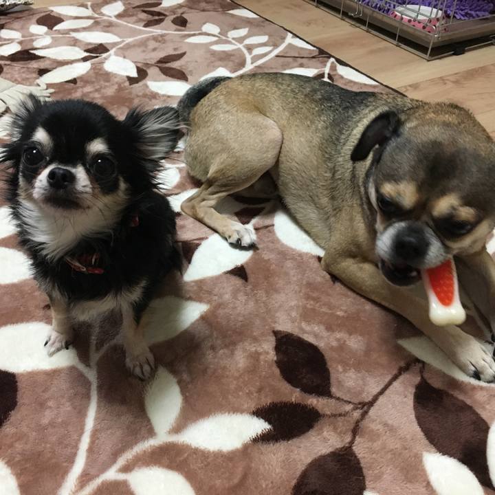 45782544 736c 4f04 8396 5f075d62d752