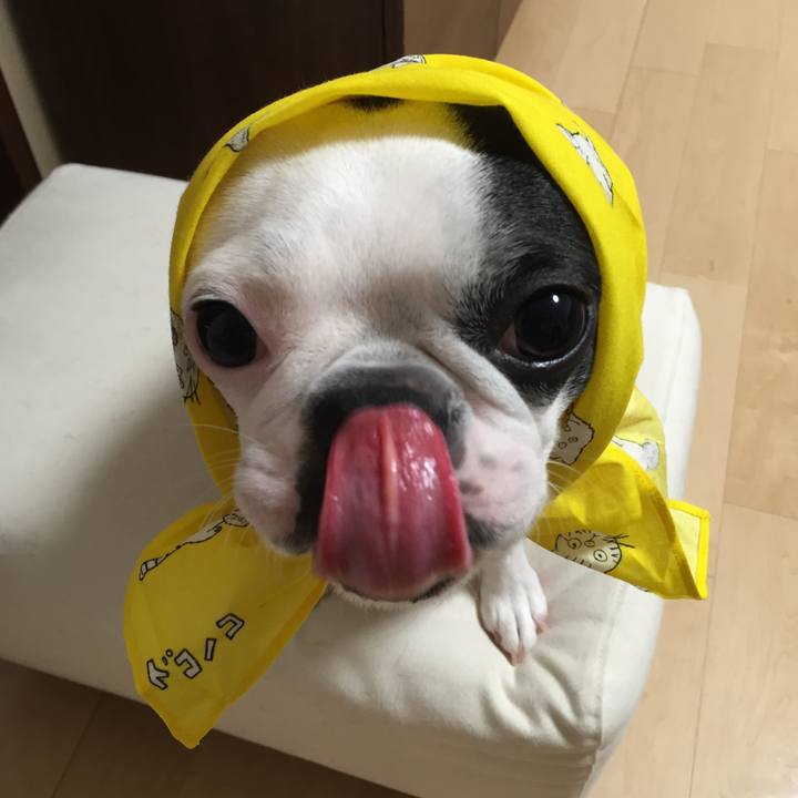 457841ef d180 482e 8a7b e14be3e112ea