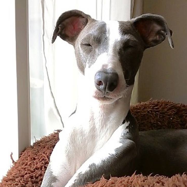 4578edd2 c655 4130 b7f0 f8494fd8e553