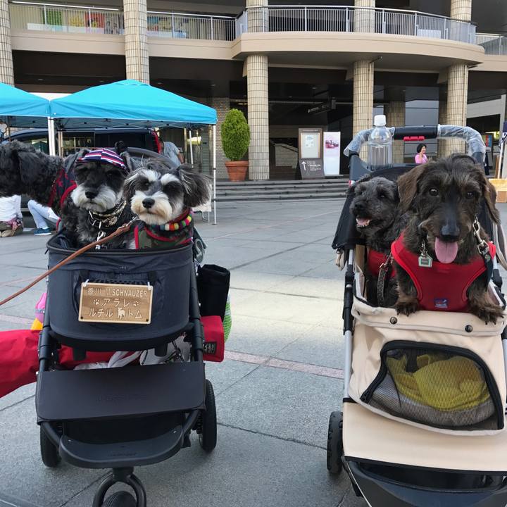 4579ca20 2736 4d67 bc09 3247a50af3c5