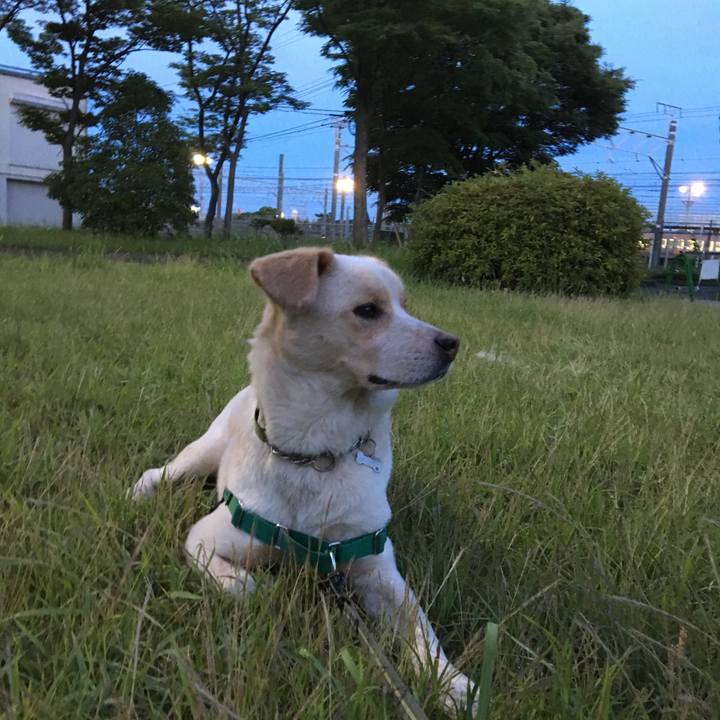 457a5071 0f3c 4d28 a82f 9a792ae6bf0c