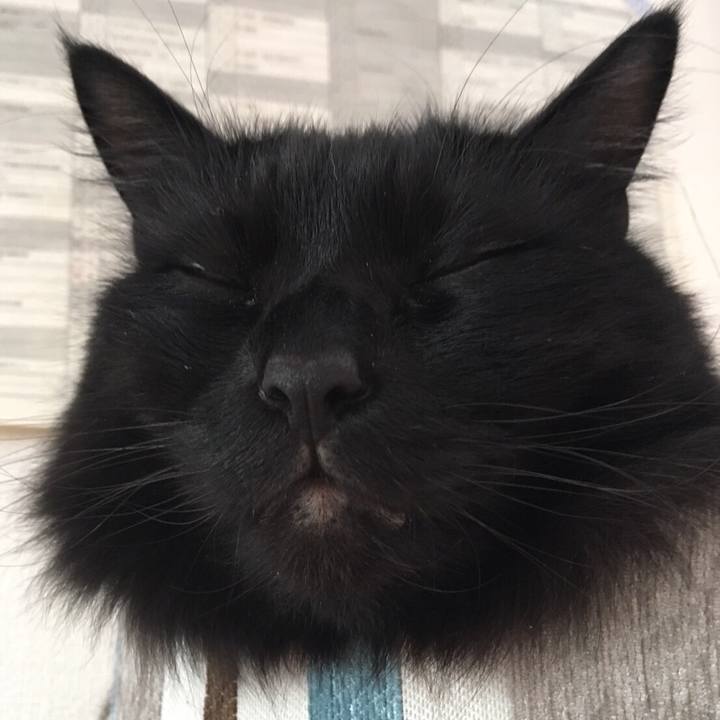 457a5ed7 bb99 4ca4 aff7 8e9ddc319263