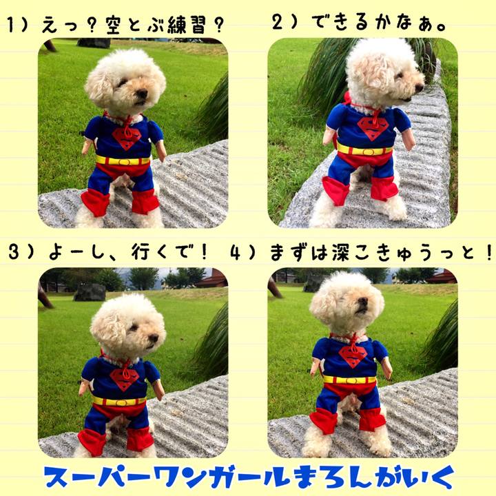 457bc9c8 3bc6 4c40 b46e 656759e025ce