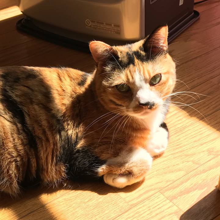 457c65d4 7281 4b2a 822a eebfed662afb