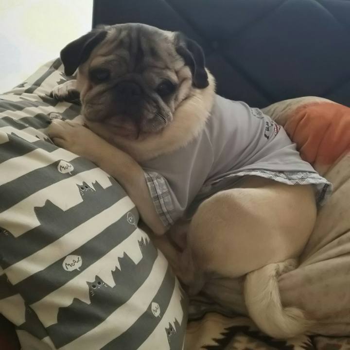 457cae6b 5789 4eca b63e be16fad15ecf