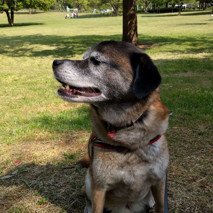 457cdae0 3dda 4a3d a9af acc488b9a596