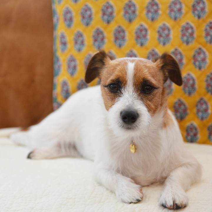 457cffe6 b5cd 4854 864b b3d154f4bd20