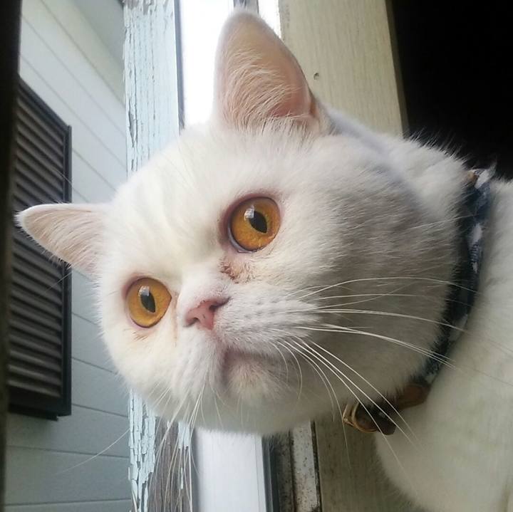 457d2982 dd8a 4743 9c67 7dc3f754e986