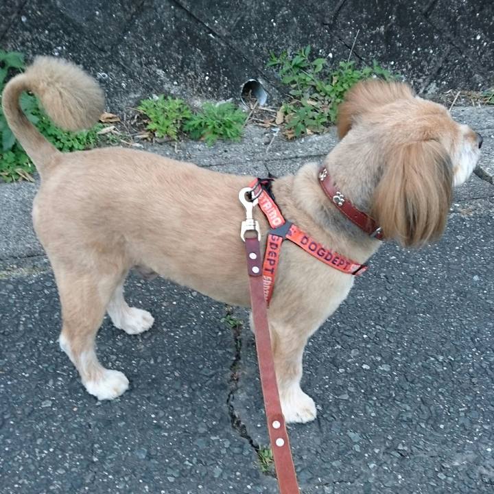 457d4a47 1a4e 460a 8977 e2e7811cc867