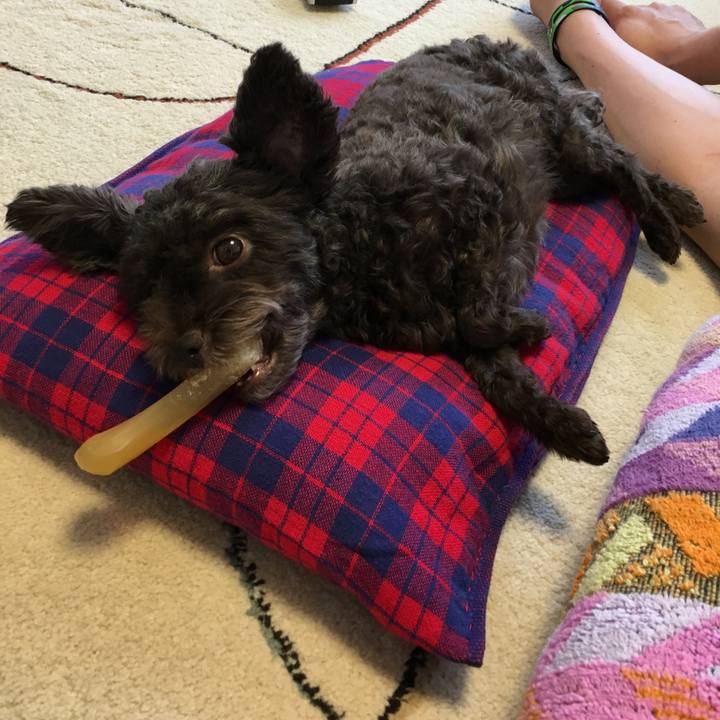 457de73b 9306 4b27 b0a3 971a9954d882