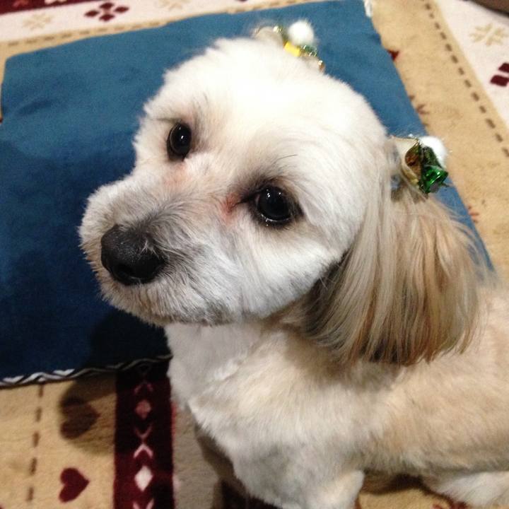 457e28c2 b79f 4163 a577 c96b47b8f772