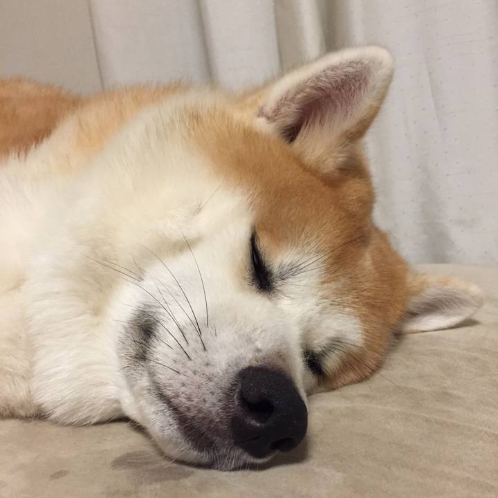 457ecd88 3ddb 4f1d 8e79 255ef582b7c6