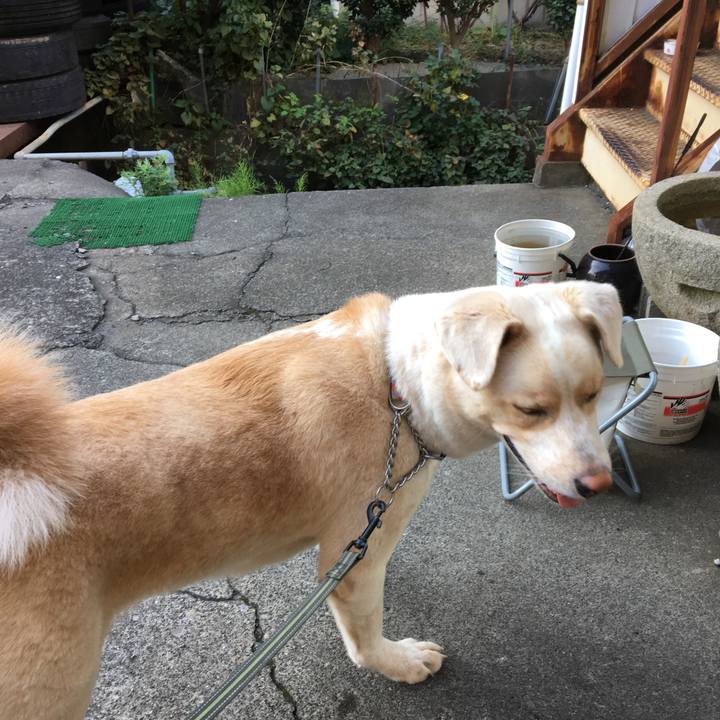 457f7207 298f 4175 a2a3 987517e1c8d5